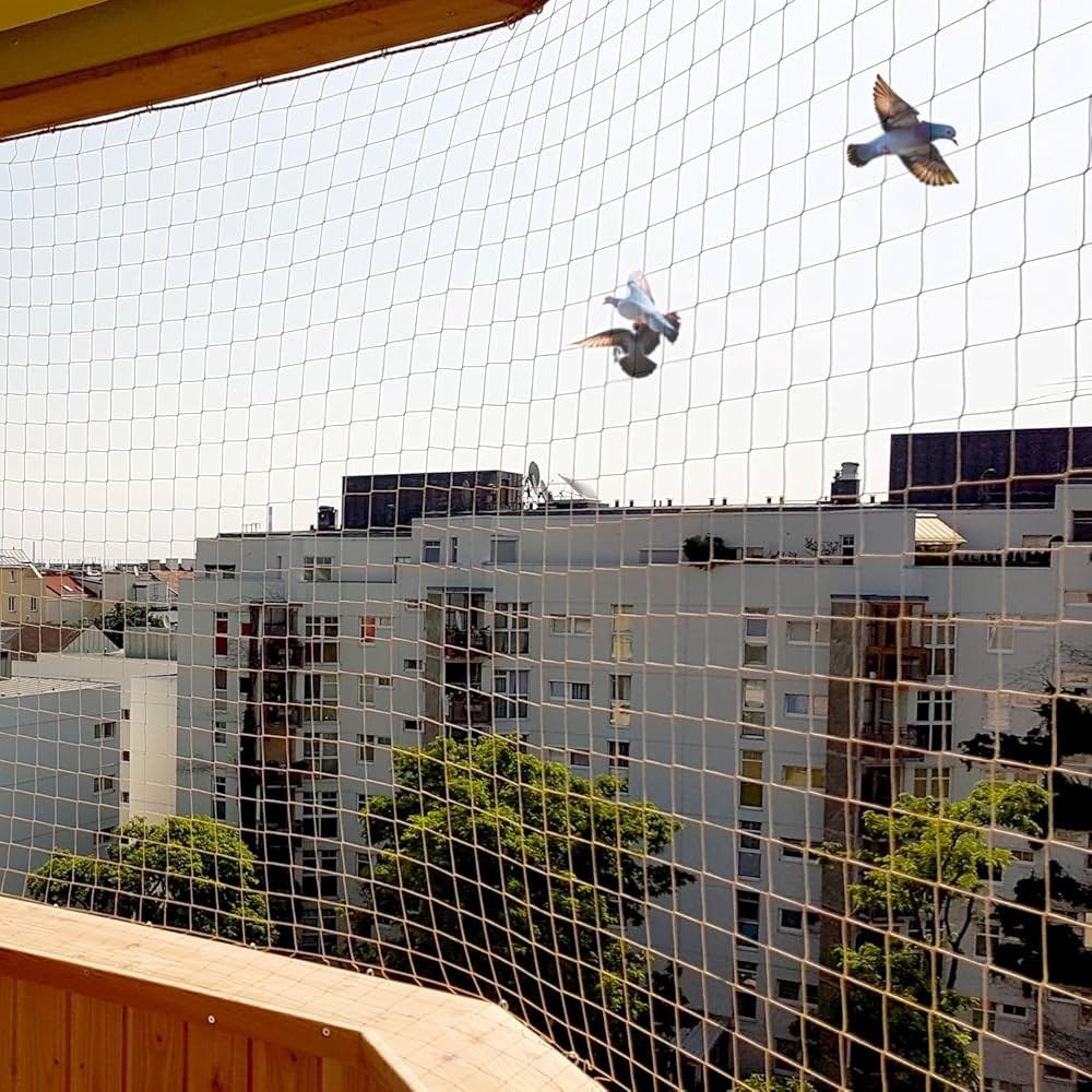 Pigeon Safety Nets in Ap & Telangana