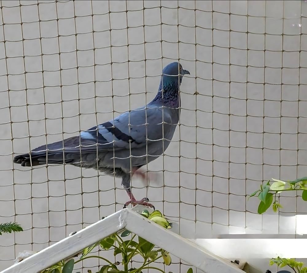 High-quality anti bird nets installed on residential balcony in Andhra Pradesh for pigeon and bird protection.