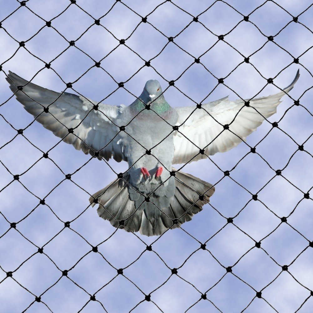 Strong and durable pigeon safety nets installed for balconies and open areas by Neeraj Safety Nets in Andhra Pradesh