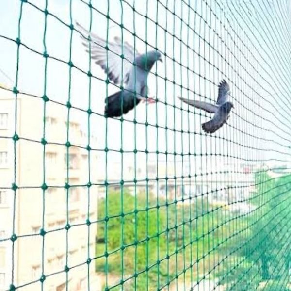 Safety Nets in Vijayawada